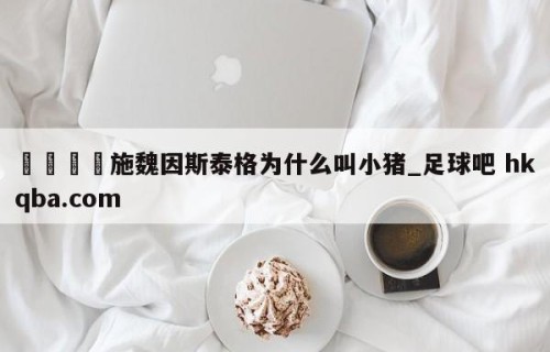 🍢施魏因斯泰格为什么叫小猪_足球吧 hkqba.com